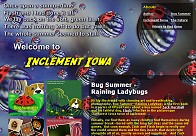 Inclement Iowa, Bug Summer - Raining Ladybugs